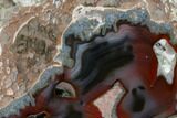 Polished Baker Ranch Thunderegg with Sagenite - New Mexico #145669-2